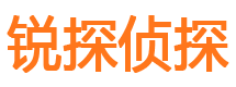 惠农市侦探调查公司